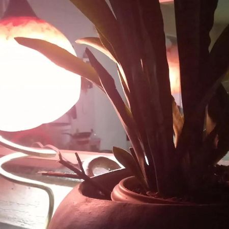 Hotel Fazenda Recanto Das Aguias Aquiraz Eksteriør bilde
